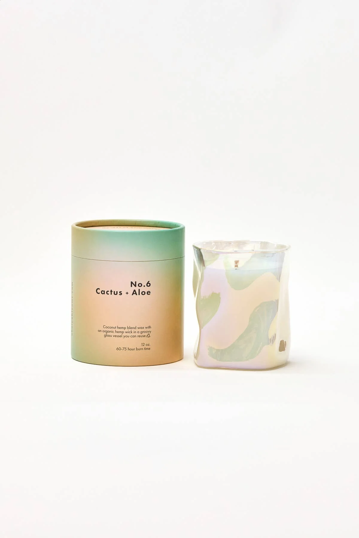 12oz. no. 6 cactus + aloe candle