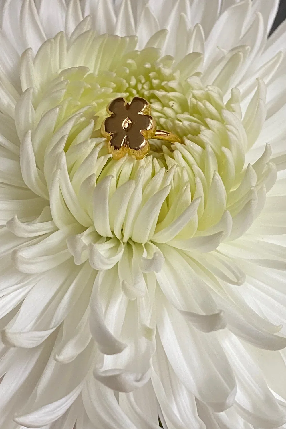 daisy ring - Image 3