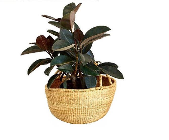 Medium African Bolga Ghana Market Basket Dye Free 11"-13" - Image 7