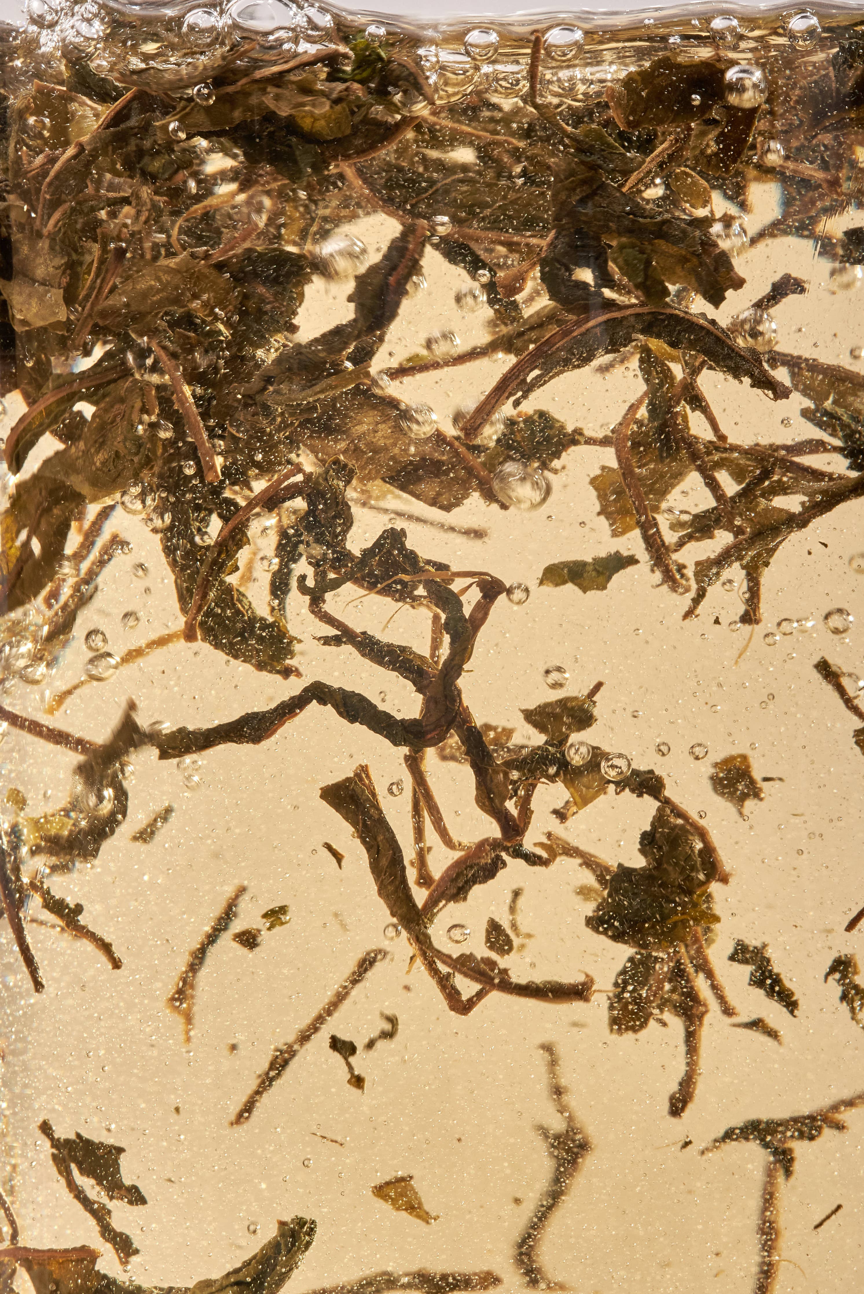 nordic black tea - decaf - Image 5