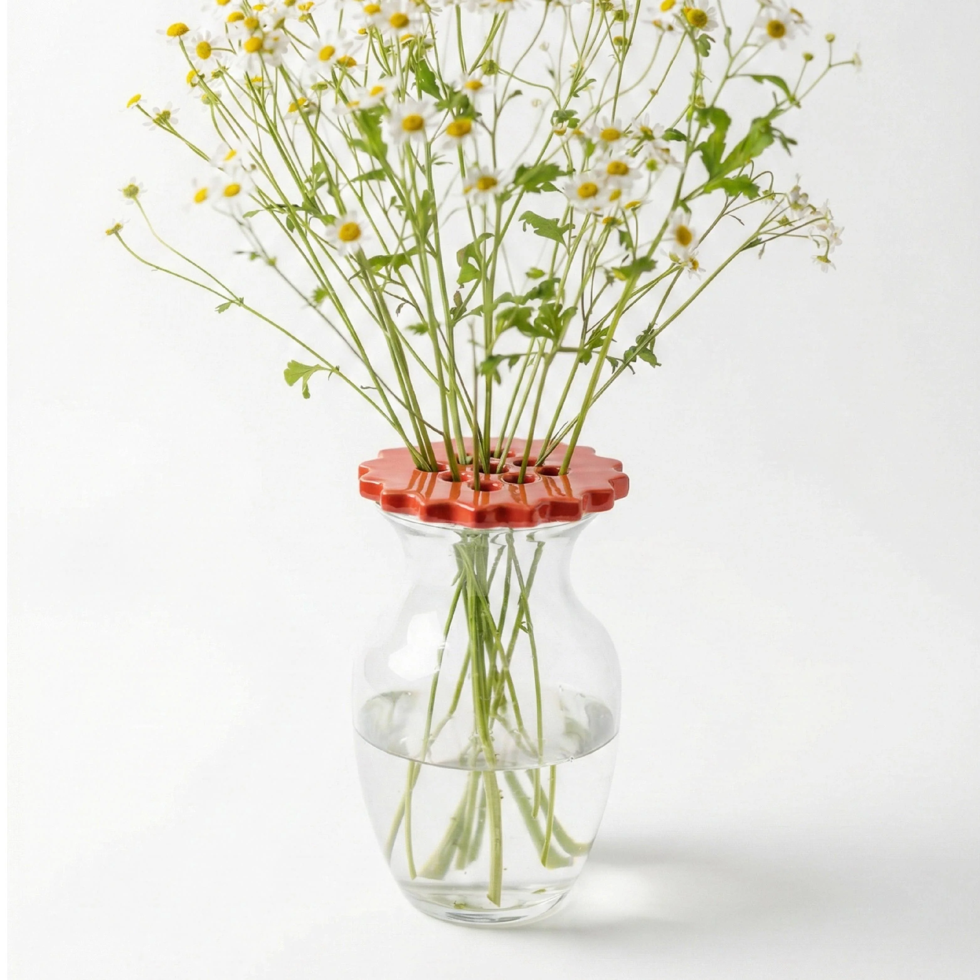 sunshine flower frog | ruby red | ceramic lid - Image 5