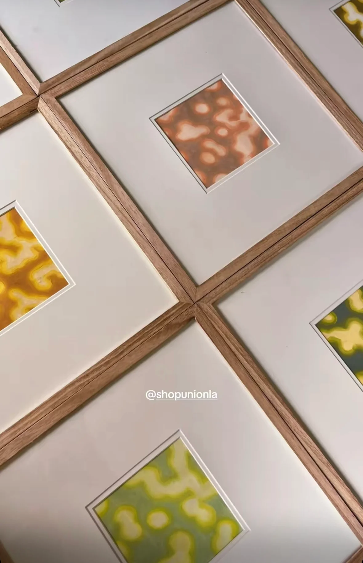 sunspots 4x4 paintings by mary royall wilgis - Image 14