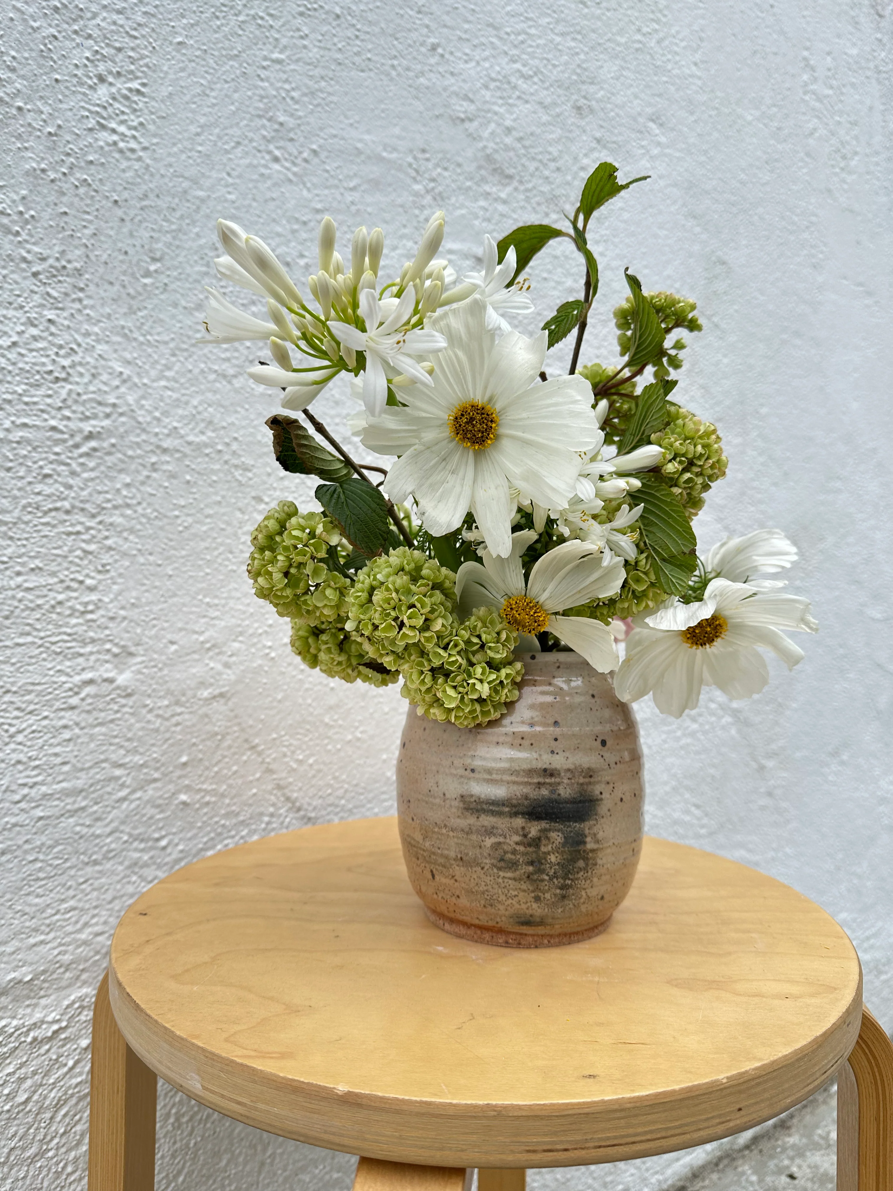 wild roots goldie speckled medium vase with carbon trapping - Image 3