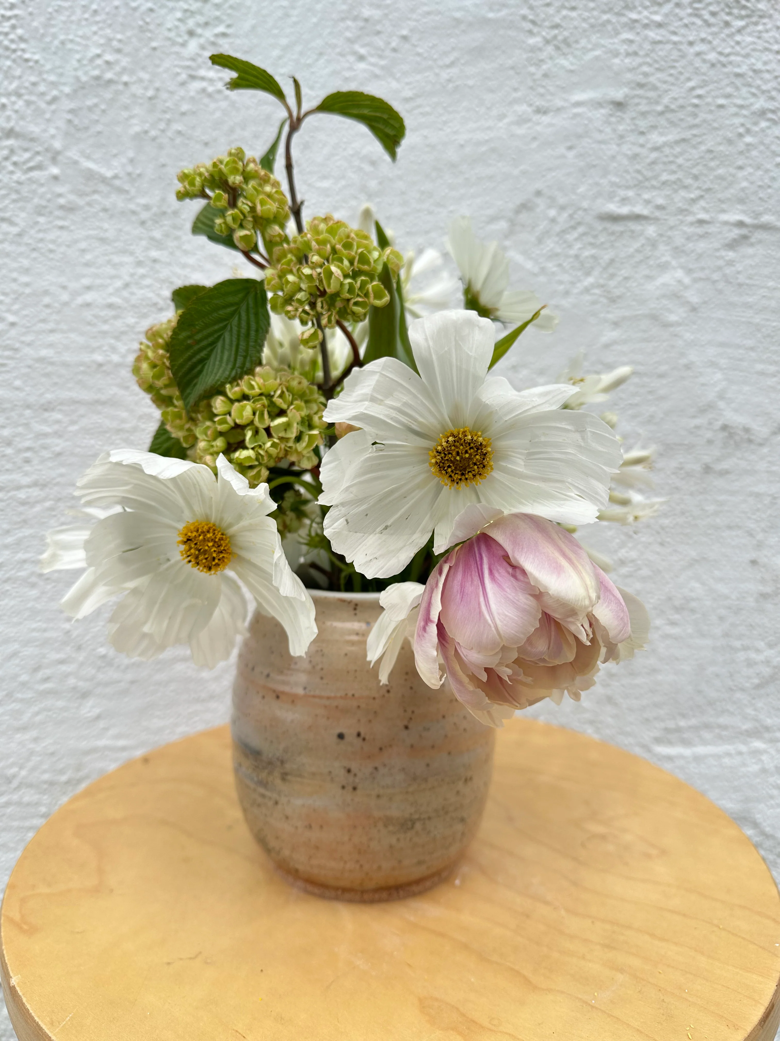 wild roots goldie speckled medium vase with carbon trapping - Image 6